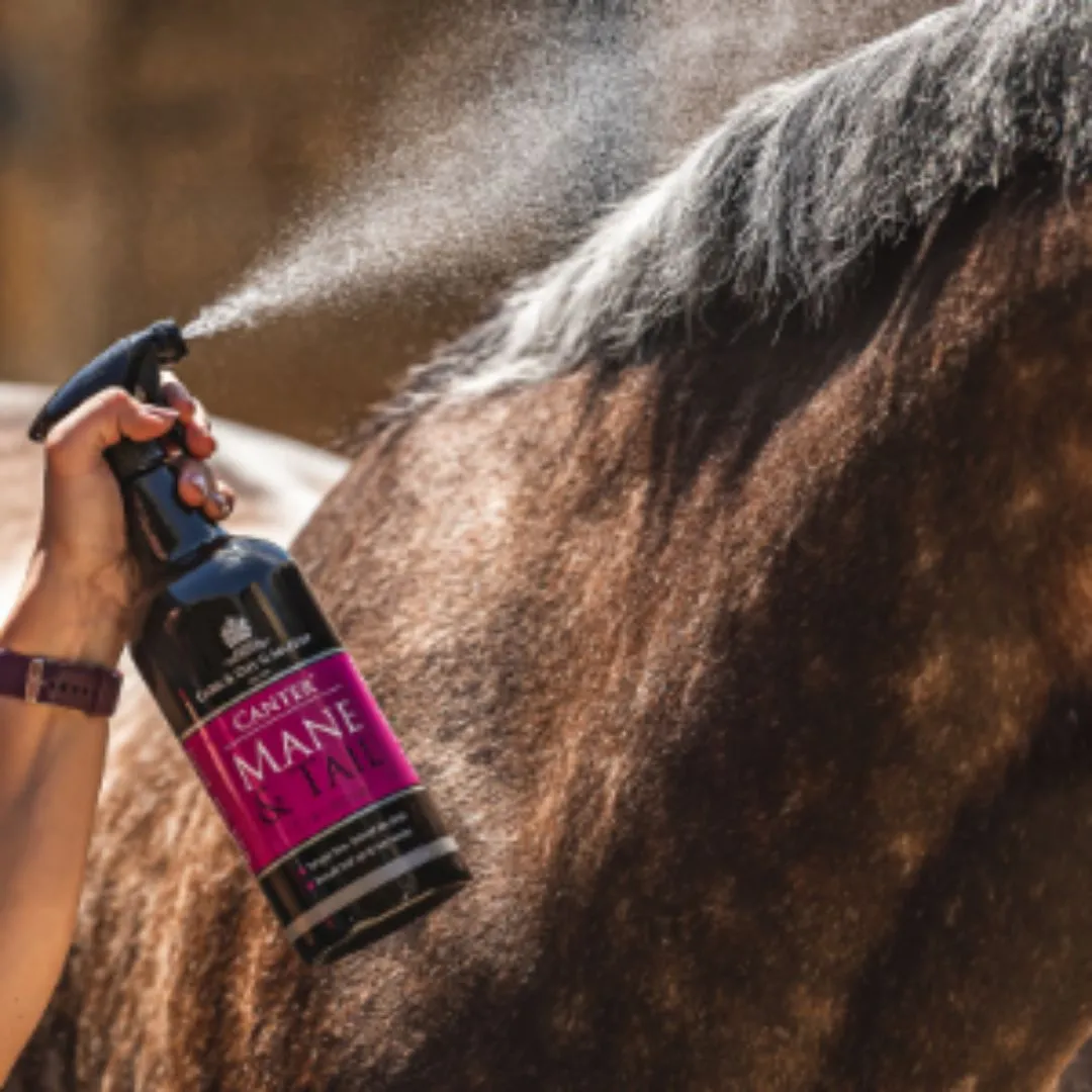 Carr & Day & Martin Canter Mane & Tail Conditioner