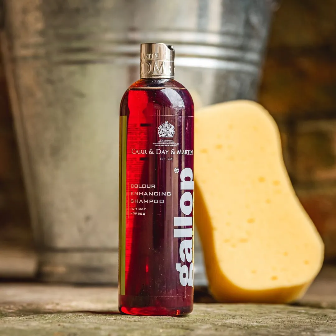 Carr & Day & Martin Gallop Colour Enhancing Shampoo for Bay Horses