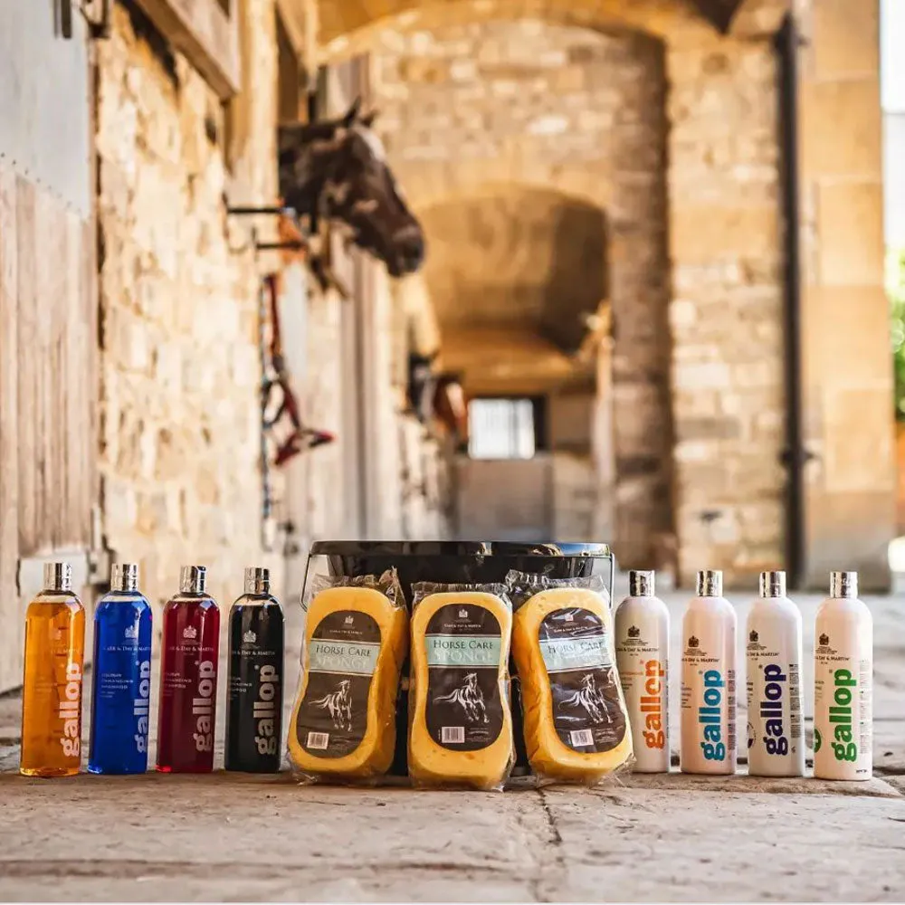 Carr & Day & Martin Gallop Colour Enhancing Shampoo for Bay Horses