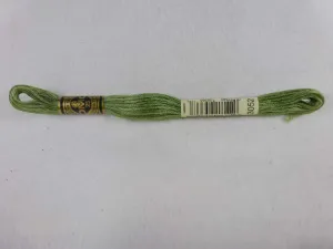 DMC Floss 3052 Medium Green Gray