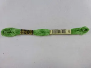 DMC Floss 989 Forest Green