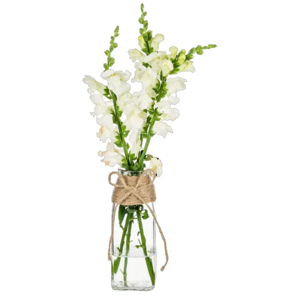 Jute Wrapped Bud Vase Set