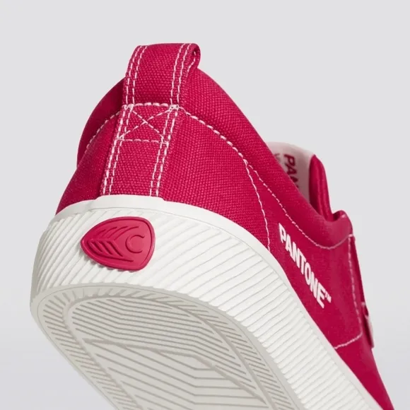New Cariuma X Pantone Viva Magenta OCA Low Canvas Contrast Thread Sneaker 10M