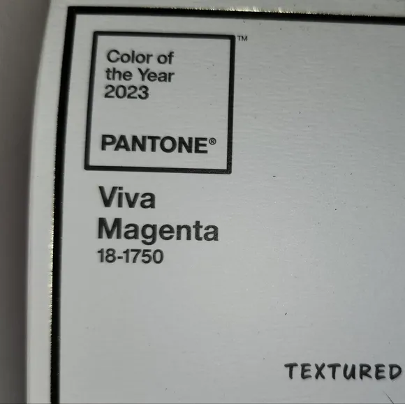 New Cariuma X Pantone Viva Magenta OCA Low Canvas Contrast Thread Sneaker 10M