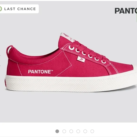 New Cariuma X Pantone Viva Magenta OCA Low Canvas Contrast Thread Sneaker 10M
