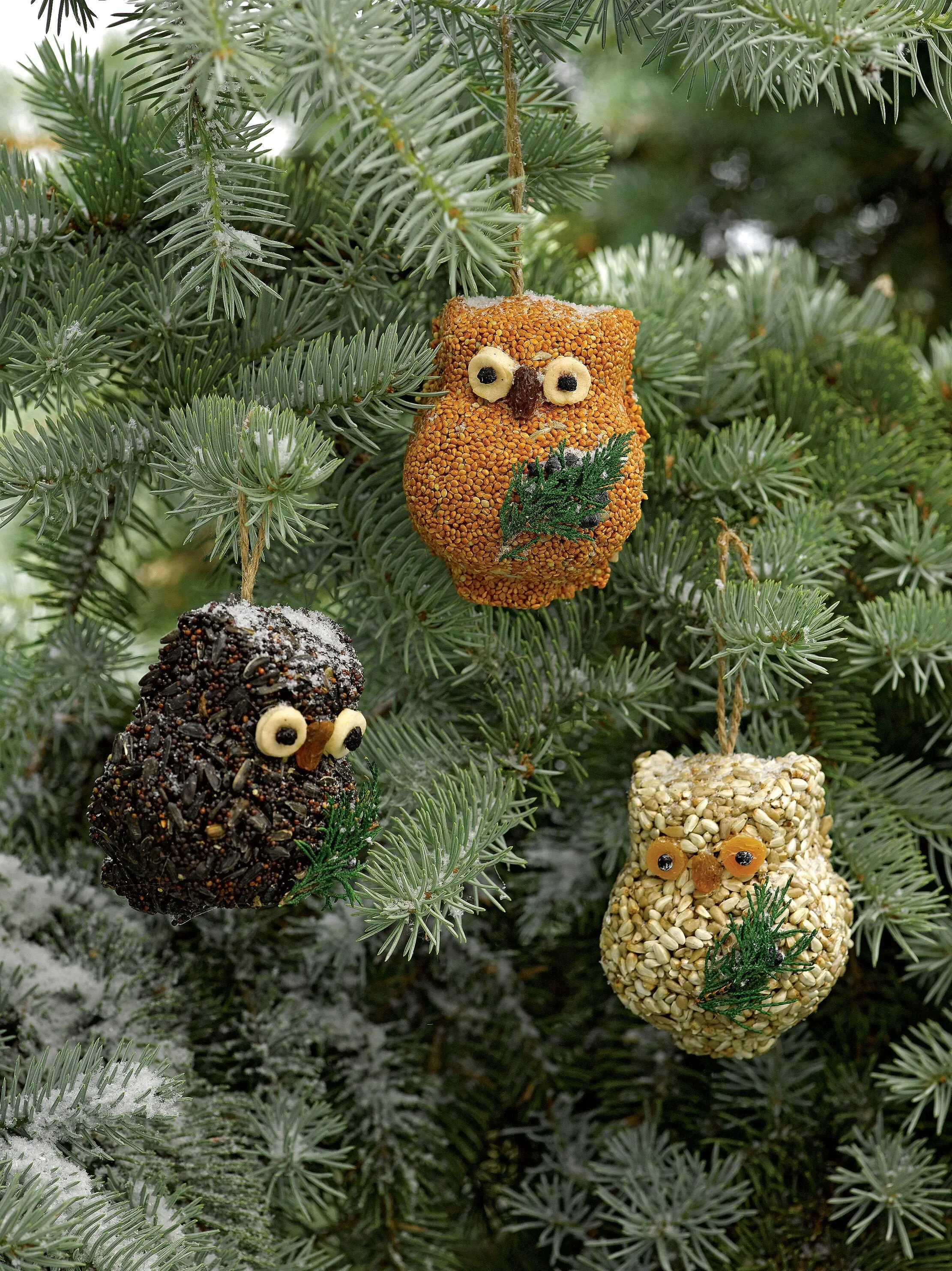 Ollie the Owl Set of 3