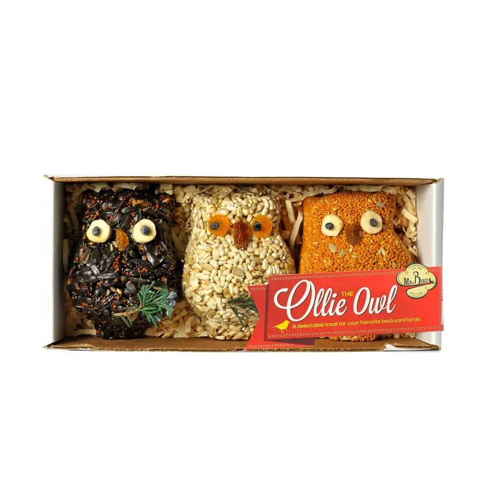 Ollie the Owl Set of 3