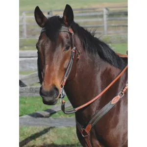 SIERRA Casino Western Split Reins