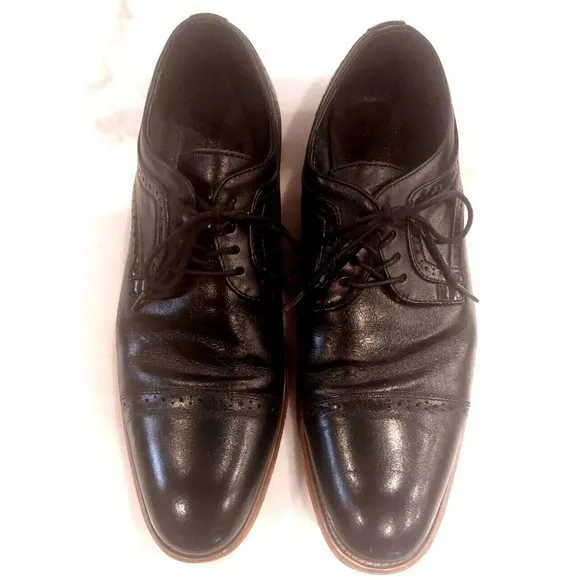 Stacy Adams Shoes Dickinson Cap Toe Oxford Classic Black Leather Men's Size‎ 13M